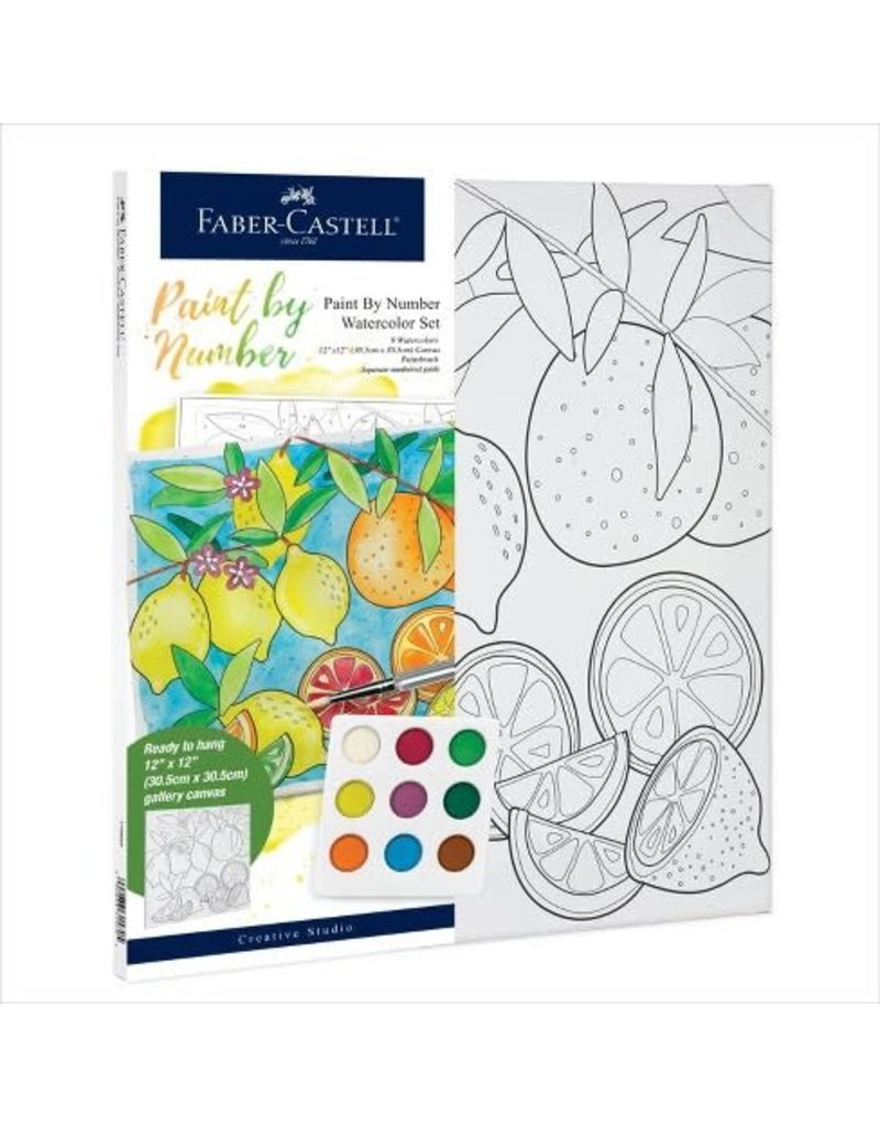 Faber-Castell Craft Kit Paint By Number Watercolor Produce
