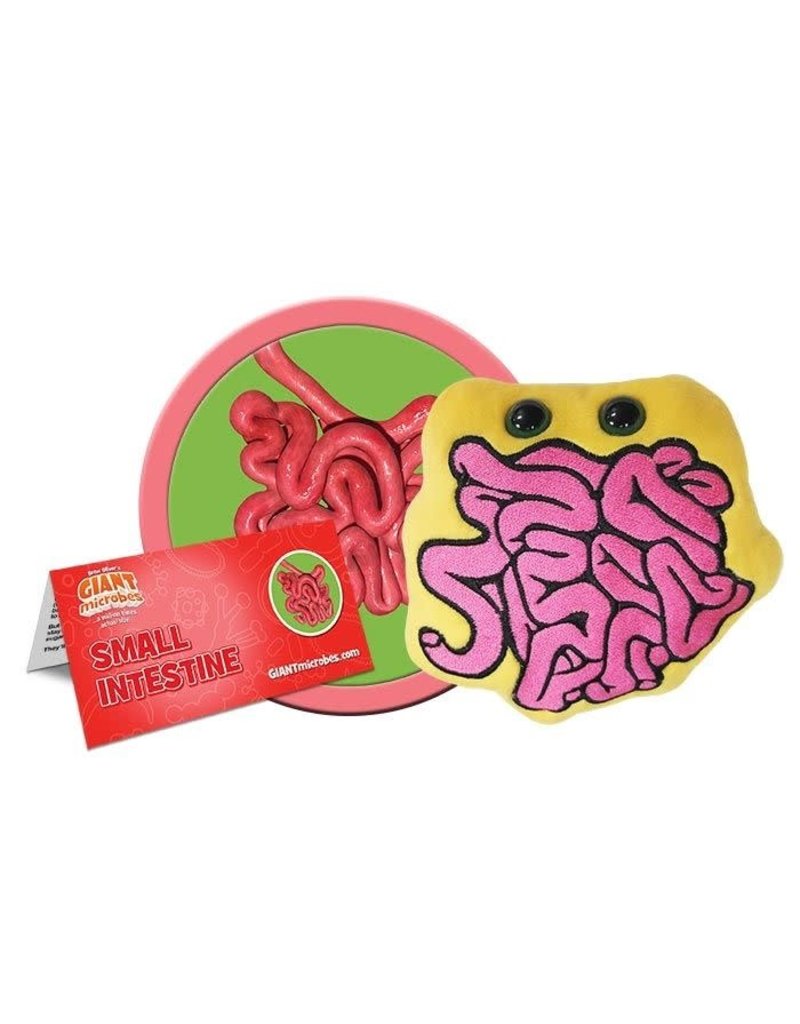 Giant Microbes Plush Giant Microbes Small Intestine