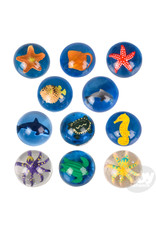 The toy network Aquatic Hi-Bounce Ball (1.75"; Assorted; Sold Individually)