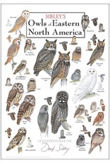 Earth Sea Sky Poster Owls of Eastern North America
