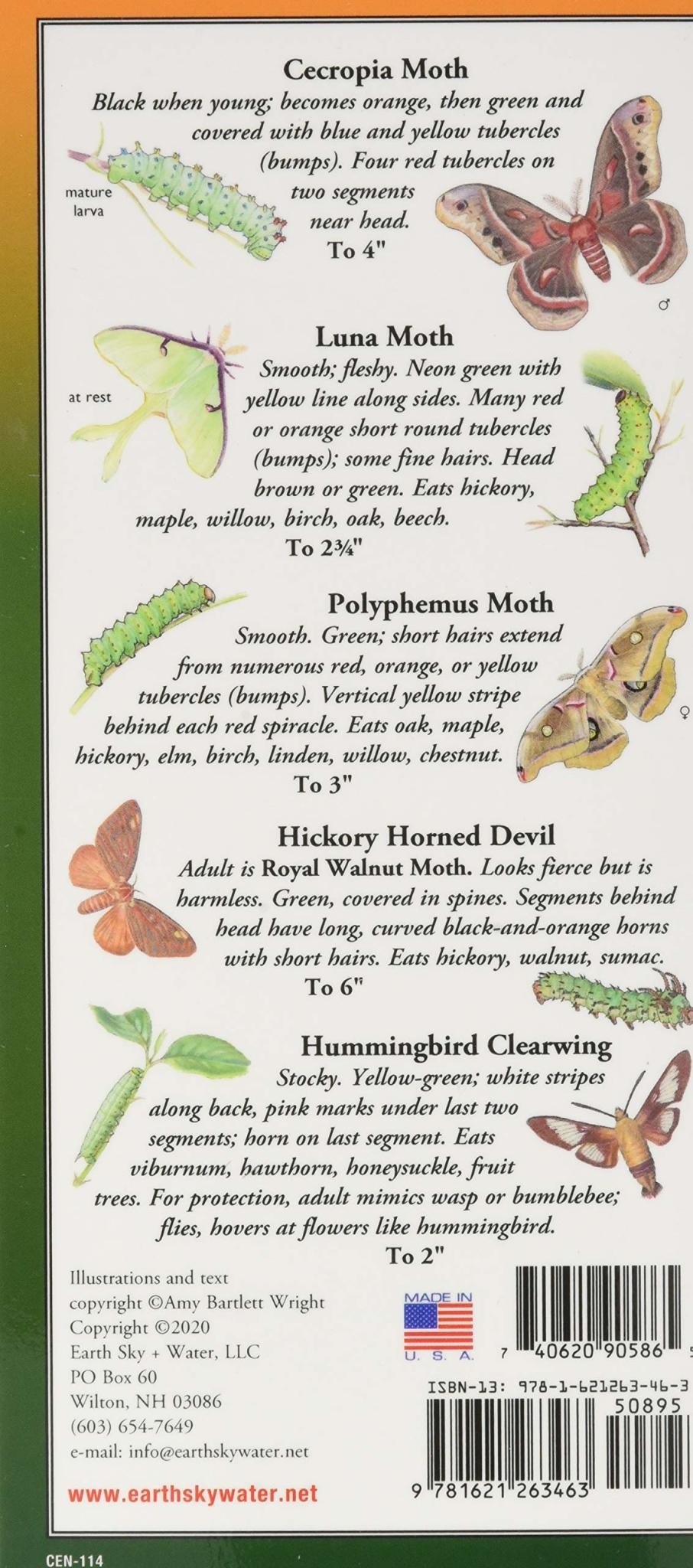 Waterproof Guide Caterpillars of Eastern North America