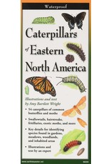 Earth Sea Sky Waterproof Guide Caterpillars of Eastern North America