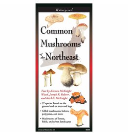 Earth Sea Sky Waterproof Guide Common Mushrooms of the Northeast