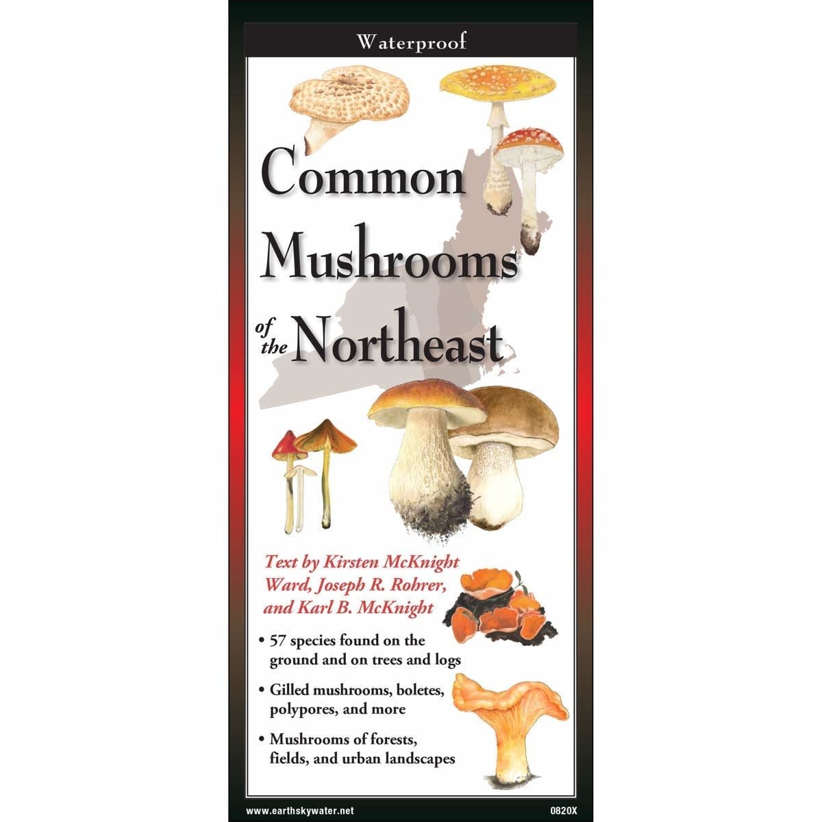 Waterproof Guide Common Mushrooms of the Northeast