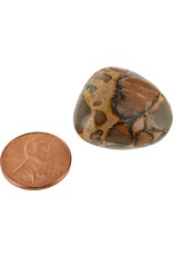 Squire Boone Village Rock/Mineral - Snakeskin, Tumbled (Sizes and Colors Vary; Sold Individually)