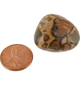 Squire Boone Village Rock/Mineral Tumbled - Snakeskin (Sizes and Colors Vary; Sold Individually)