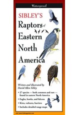 Steven M Lewers and Associates Waterproof Guide - Raptors Eastern North America