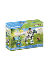 Playmobil Playmobil Country Collectible Lewitzer Pony
