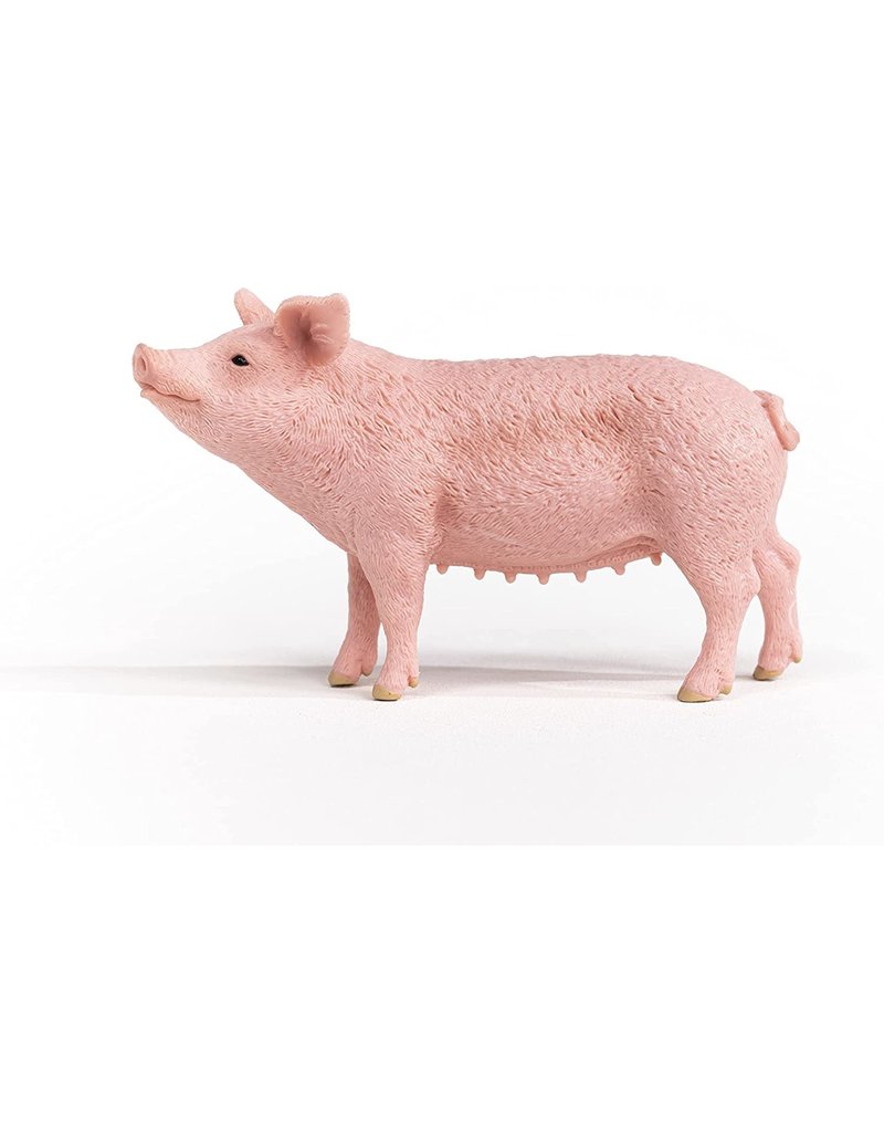 Schleich Schleich Pig