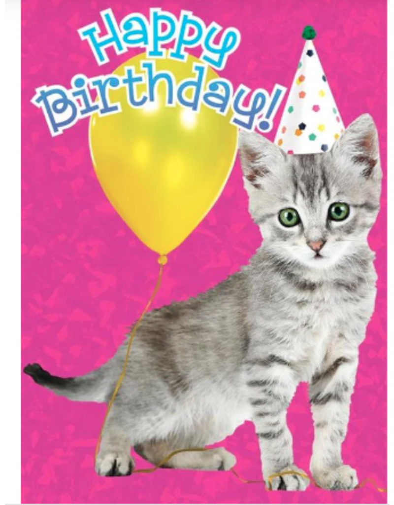 happy birthday mom kitten