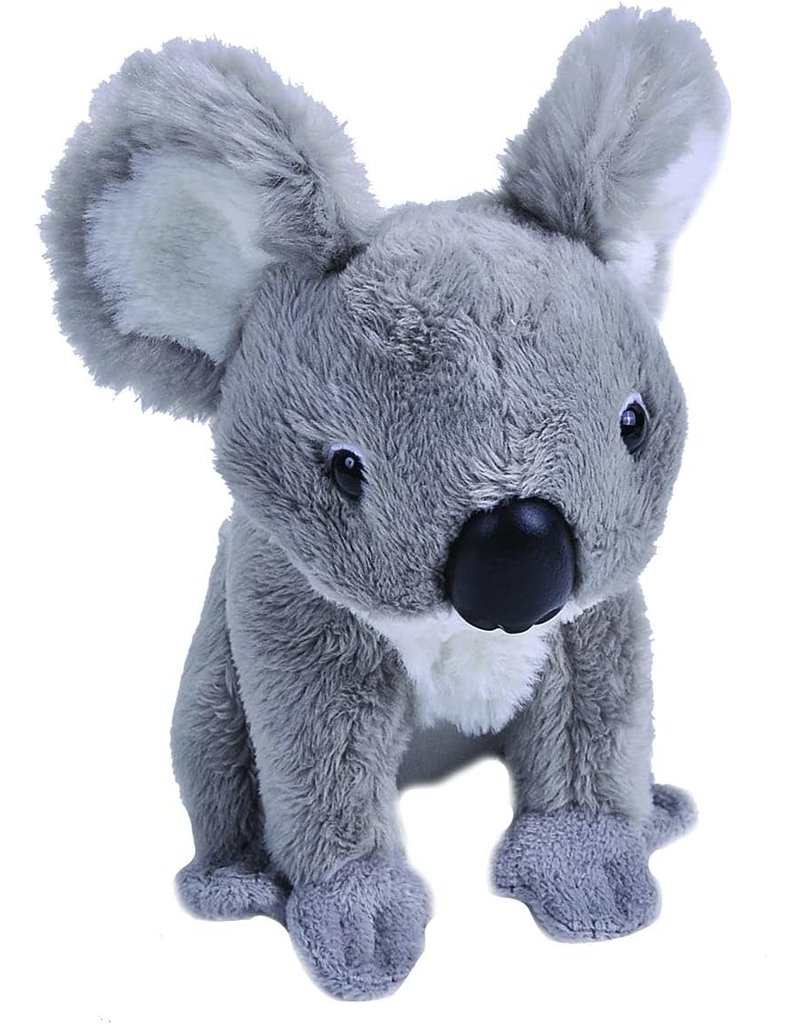 Wild Republic Plush PocketKins Koala (5")