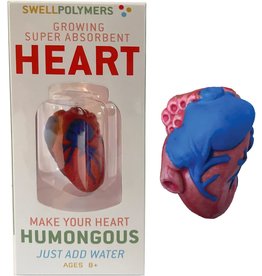 Copernicus Scientific Extra Large Swell Polymer Heart