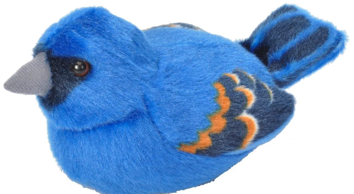 Plush Audubon Blue Grosbeak