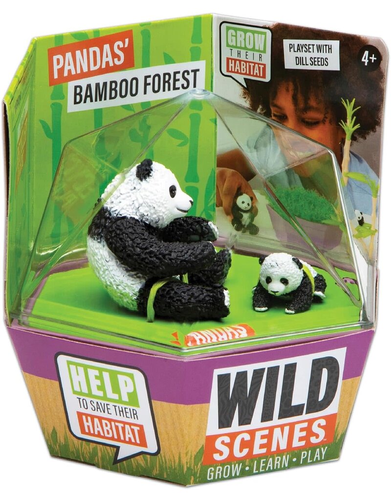 Playmonster Science Kit Wild Scenes Panda's Bamboo Grow Forest