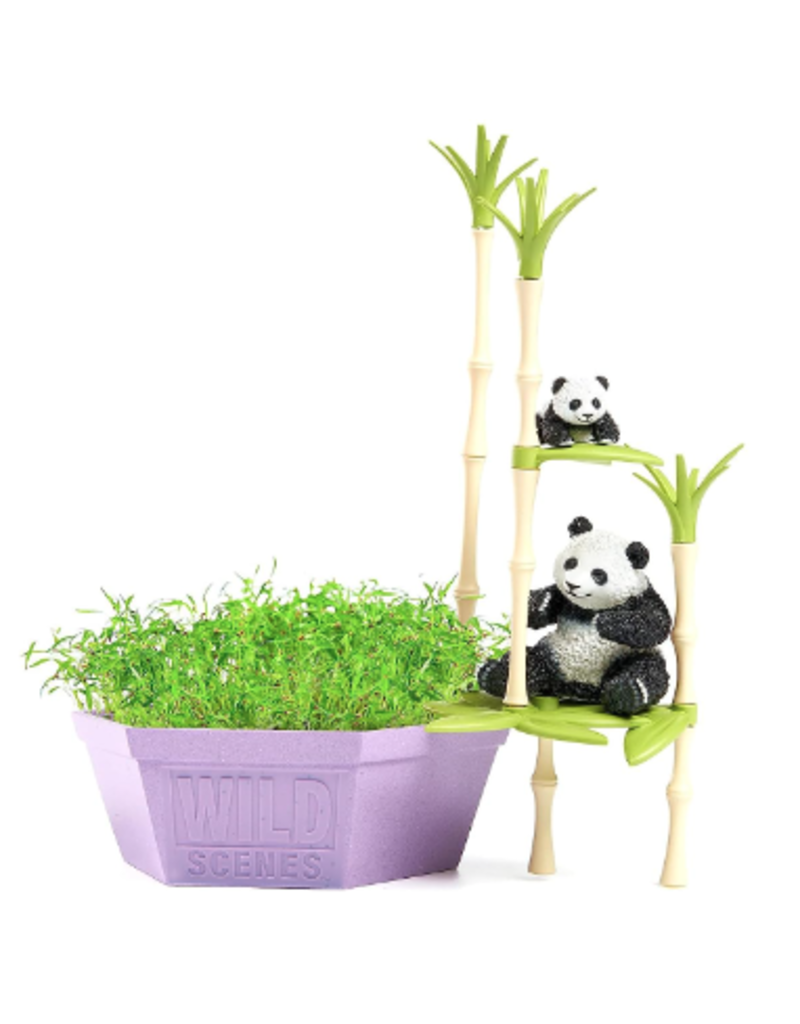 Playmonster Science Kit Wild Scenes Panda's Bamboo Grow Forest