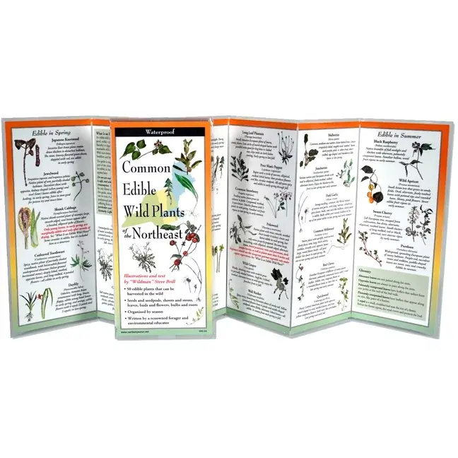 Waterproof Guide Common Edible Wild Plants of the Northeast