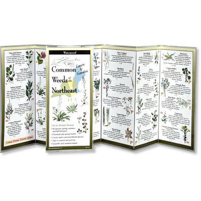 Waterproof Guide Common Weeds of the Northeast