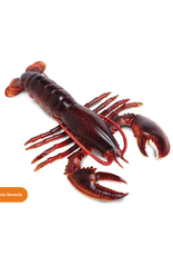 Safari Ltd. Safari Ltd. Maine Lobster