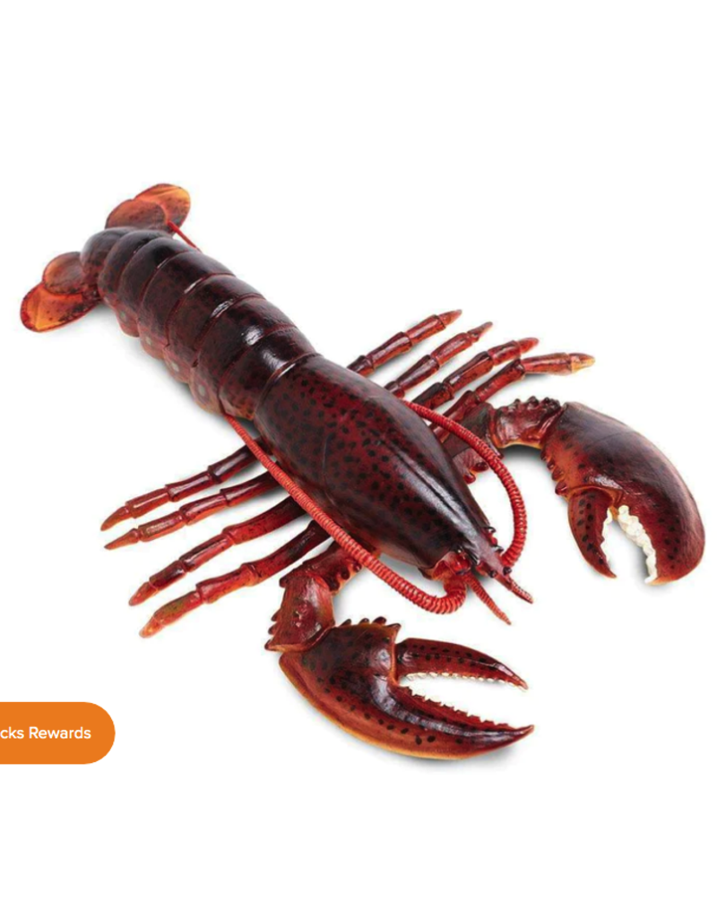 Safari Ltd. Safari Ltd. Maine Lobster