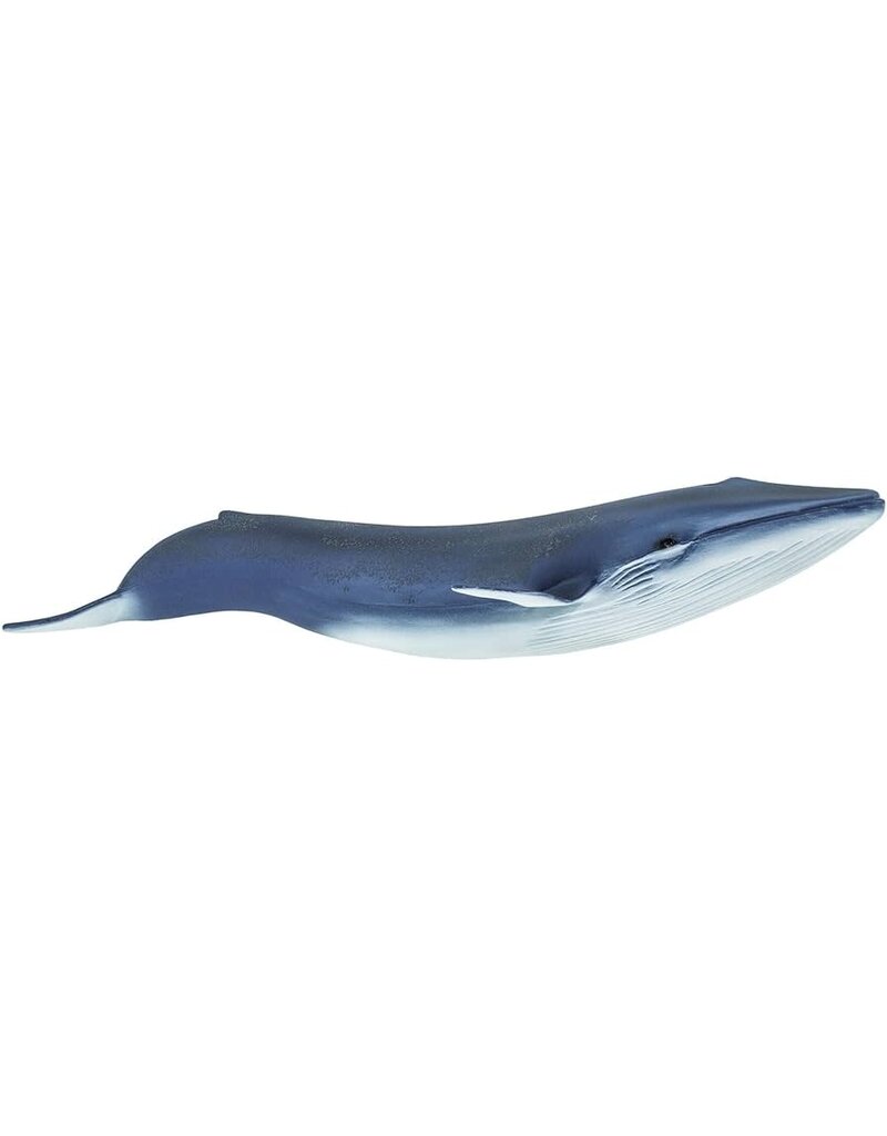 Safari Ltd. Safari Ltd. Blue Whale (10")