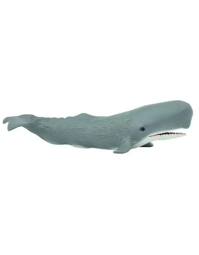 Safari Ltd. Safari Ltd. Sperm Whale