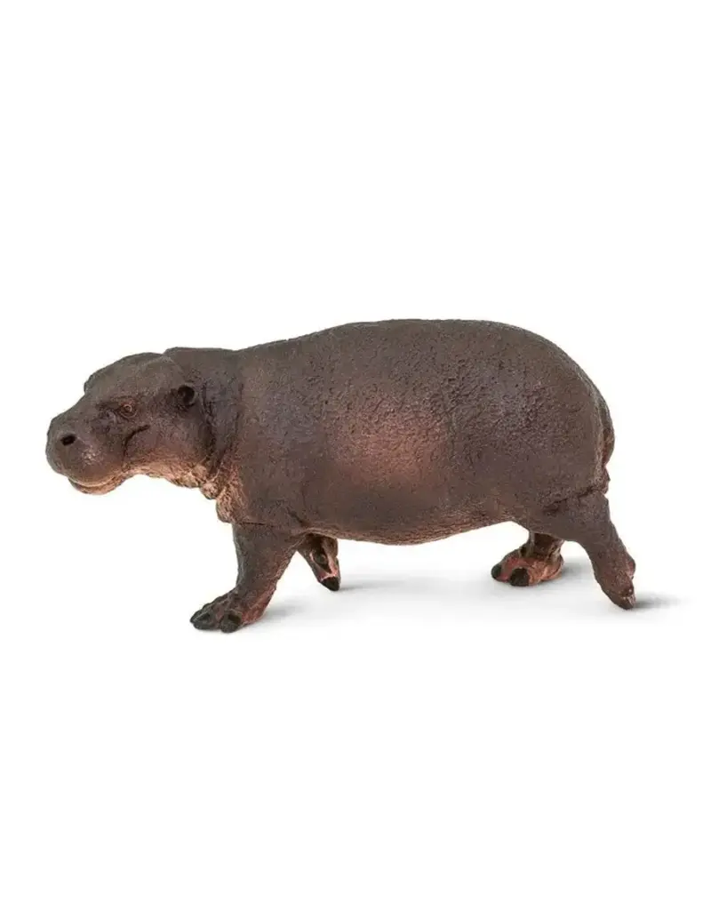 Safari Ltd. Pygmy Hippo