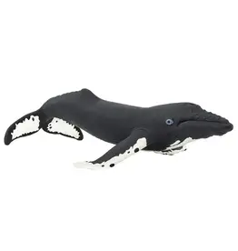 Safari Ltd. Safari Ltd. Humpback Whale