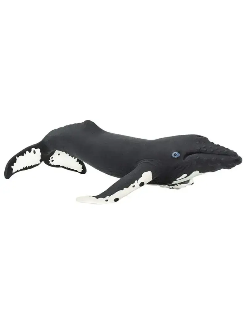 Safari Ltd. Humpback Whale