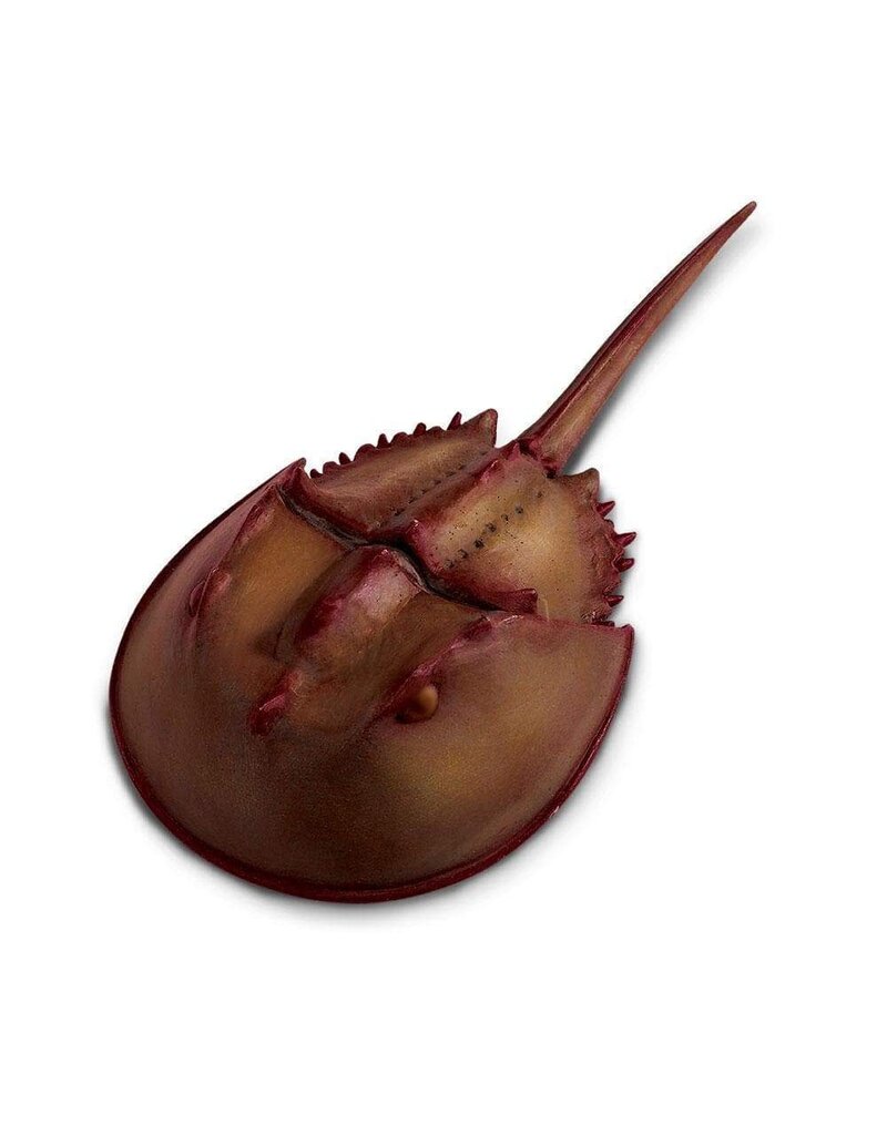 Safari Ltd. Safari Ltd. Horseshoe Crab
