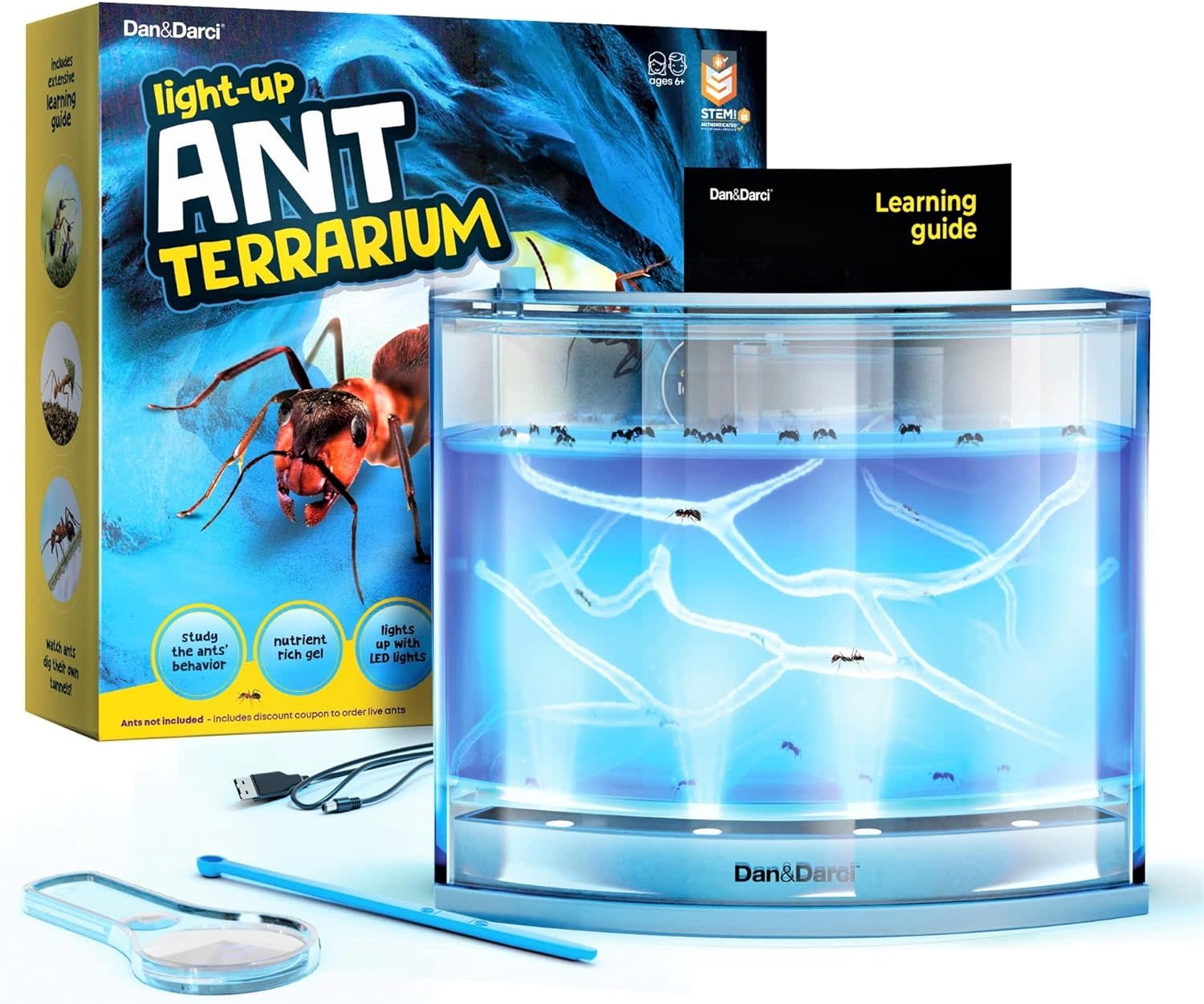 Science Kit Light-up Ant Farm Terrarium Kit for Kids