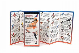 Waterproof Guide Backyard Birds of the Northeast