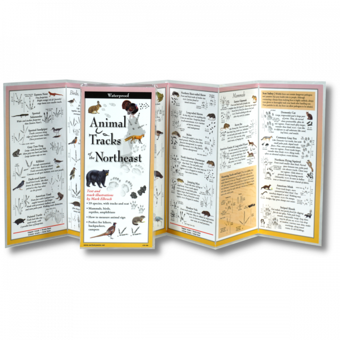 Waterproof Guide Animal Tracks of the Northeast