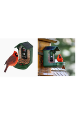 Explore Scientific Explore Scientific Wild Bird Feeder w/ Wi-Fi Camera