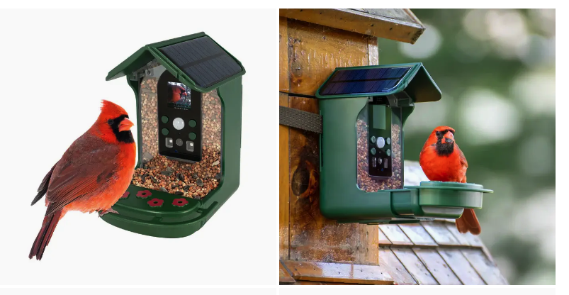 Scientific Wild Bird Feeder w/ Wi-Fi Camera
