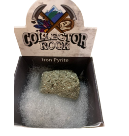 Squire Boone Village Rock/Mineral Collector Box - Iron Pyrite