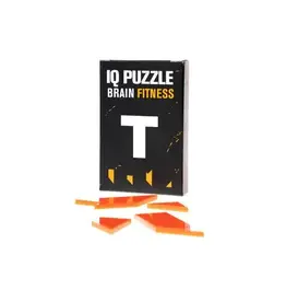 Geek Toys Brainteaser IQ Puzzle - Letter T