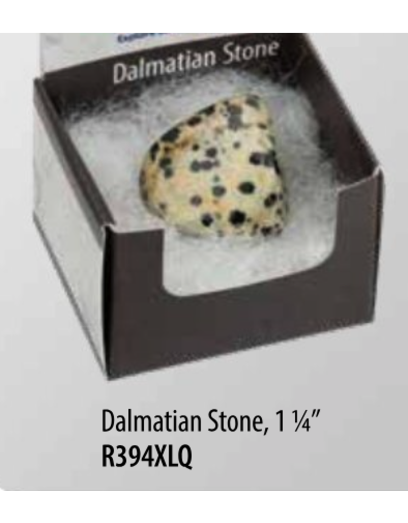 Squire Boone Village Rock/Mineral Collector Box - Dalmation Stone