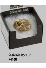 Squire Boone Village Rock/Mineral Collector Box - Snakeskin Rock