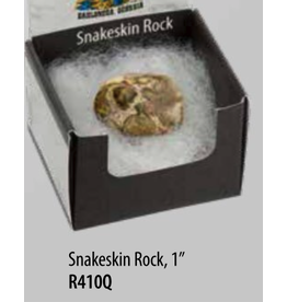 Squire Boone Village Rock/Mineral Collector Box - Snakeskin Rock