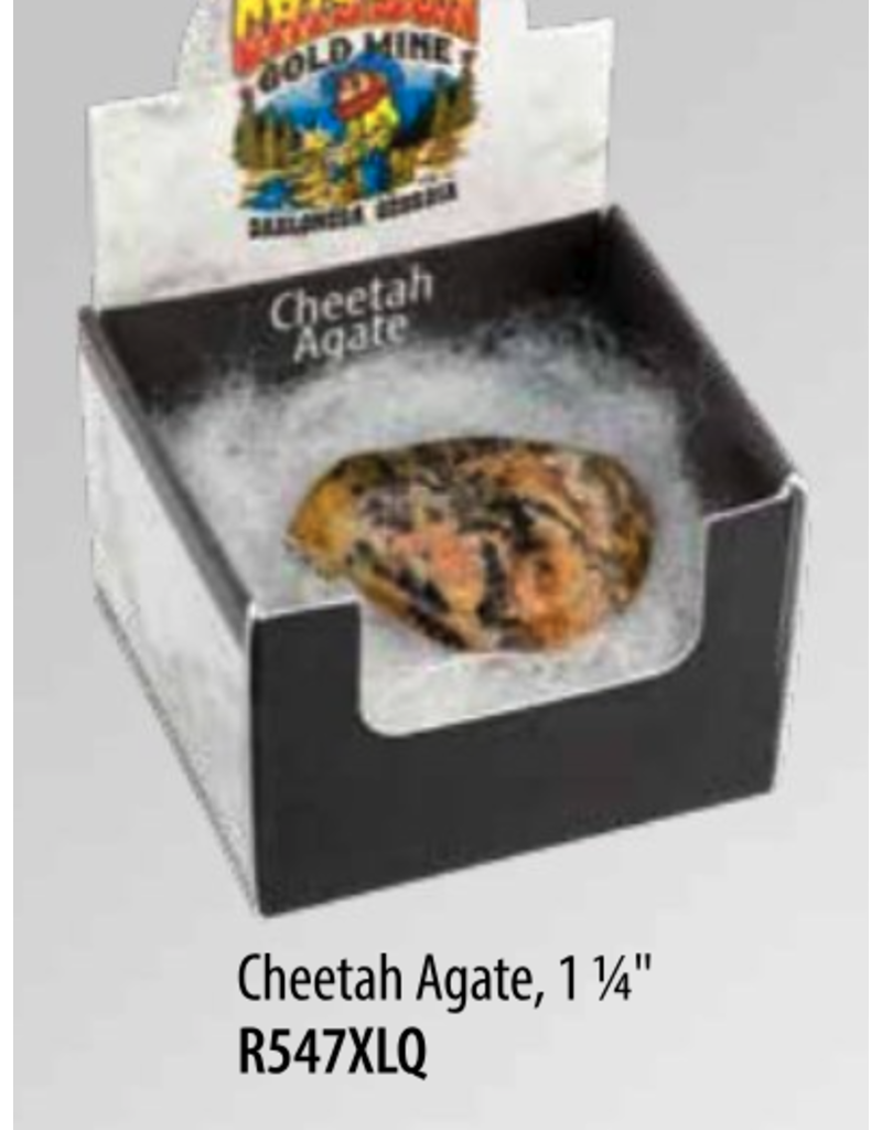 Squire Boone Village Rock/Mineral Collector Box - Cheetah Agate