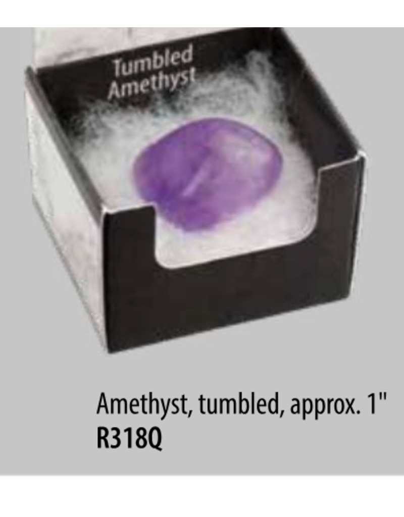 Squire Boone Village Rock/Mineral Collector Box - Amethyst, Tumbled