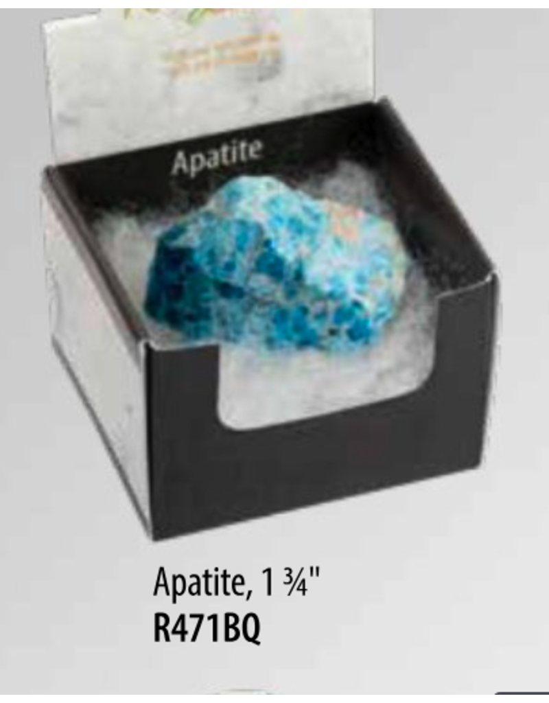 Squire Boone Village Rock/Mineral Collector Box - Apatite