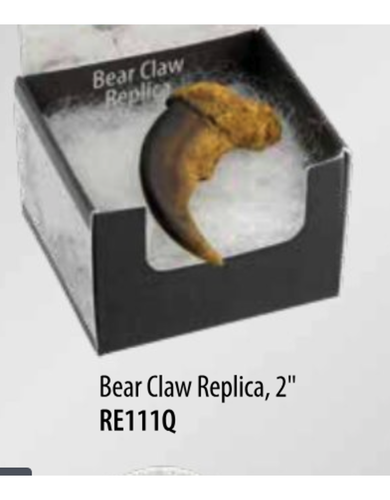 Squire Boone Village Rock/Mineral Collector Box - Bear Claw Replica