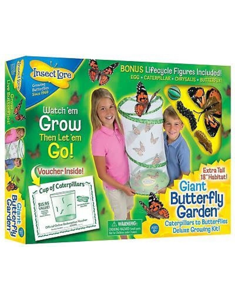 Insect Lore Science Kit Giant Butterfly Garden