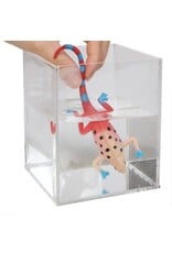 Schylling Toys Novelty Color Changing Revealeons (Colors Vary; Sold Individually)