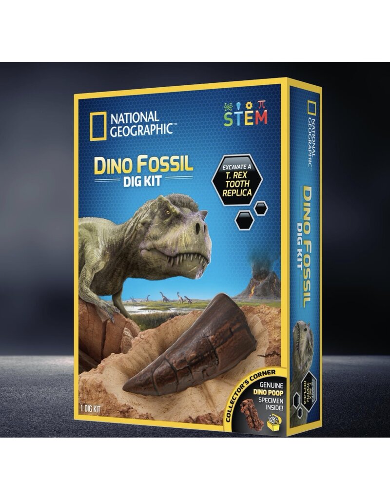 Blue Marble Science Kit Dino Fossil Dig Kit