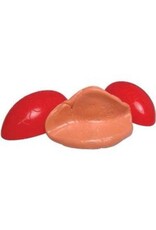 The toy network Novelty The Original Silly Putty