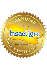 Insect Lore Science Kit Butterfly Farm Growing Kit with Prepaid Voucher
