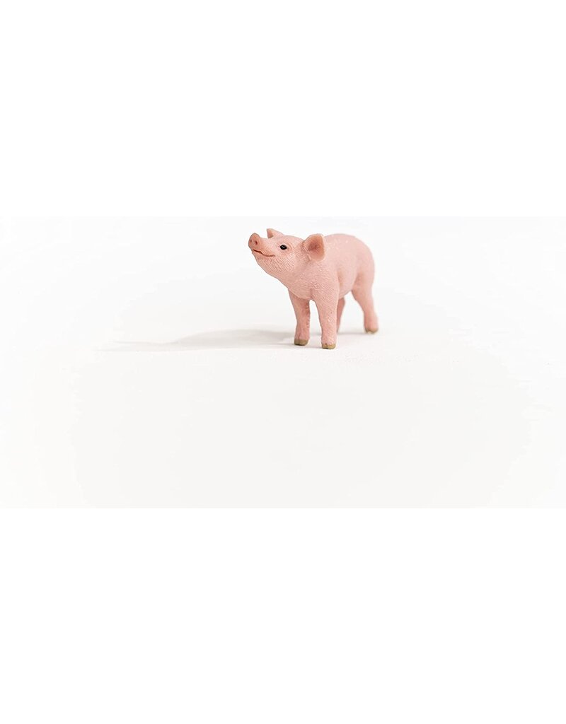 Schleich Schleich Piglet