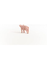 Schleich Schleich Piglet